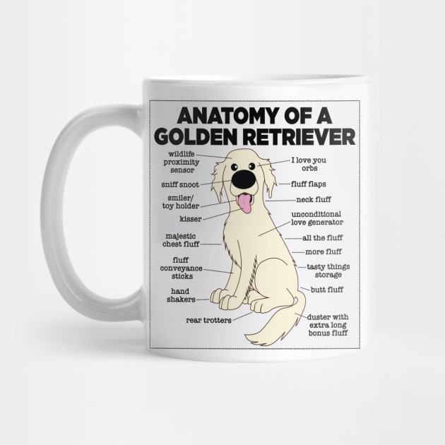 Anatomy Of A Golden Retriever by Mstiv